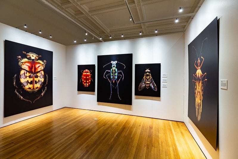 Printed panels hung in a gallery interior