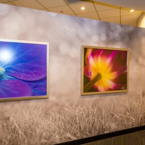 Framed printed panels hung as a gallery wall