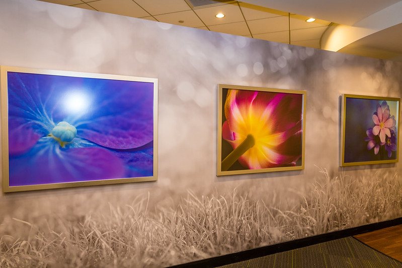 Framed printed panels hung as a gallery wall